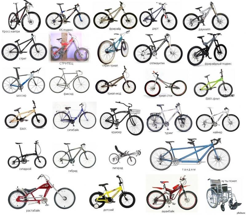 Типы велосипедов для взрослых